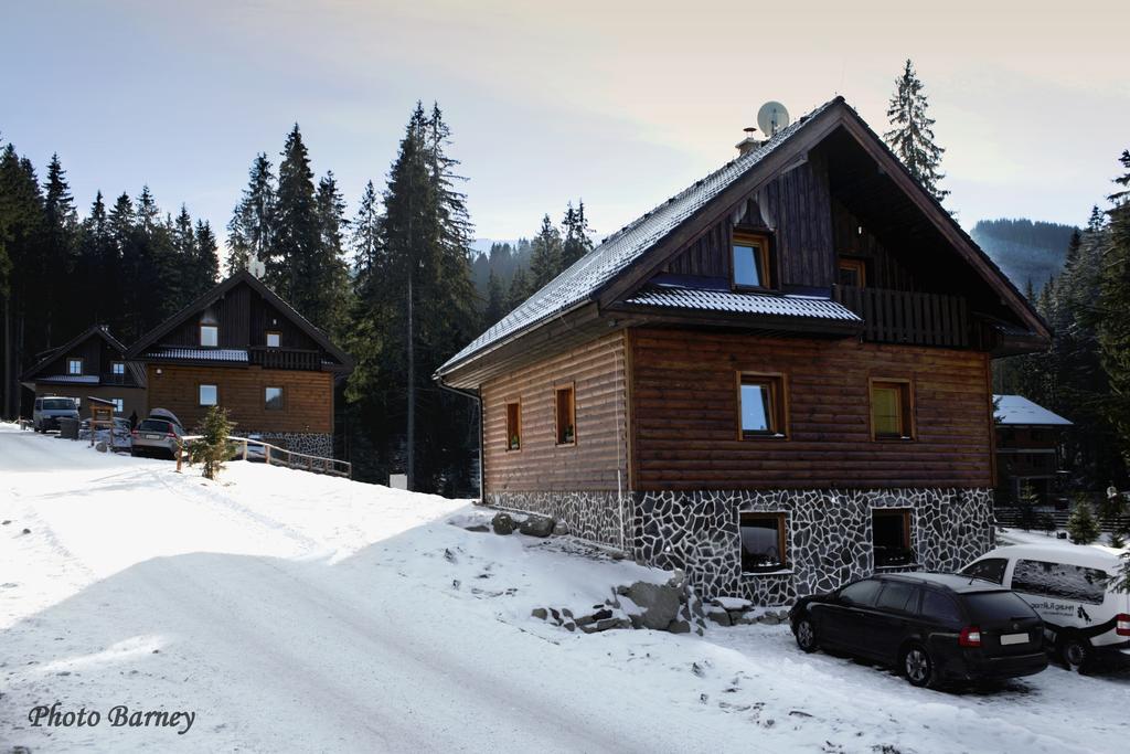 Apartment House Kongen Деменівська Долина Номер фото